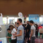 Milano Cat Show 2014, gatti vincitori Milano Life
