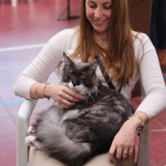 Milano Cat Show 2014, gatti vincitori Milano Life