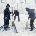 La grande nevicata del 1985 a Milano Milano Life
