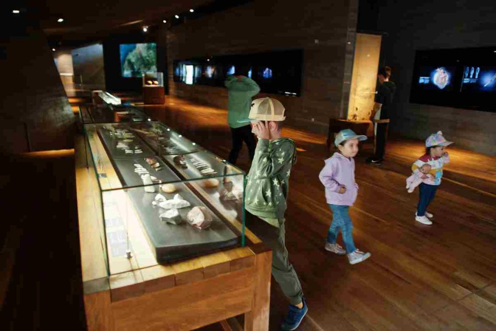 museo per bambini 2024