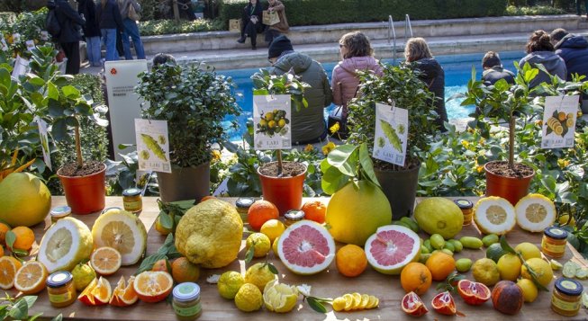 Agrumi 2025 A Villa Necchi Campiglio: orari e Programma