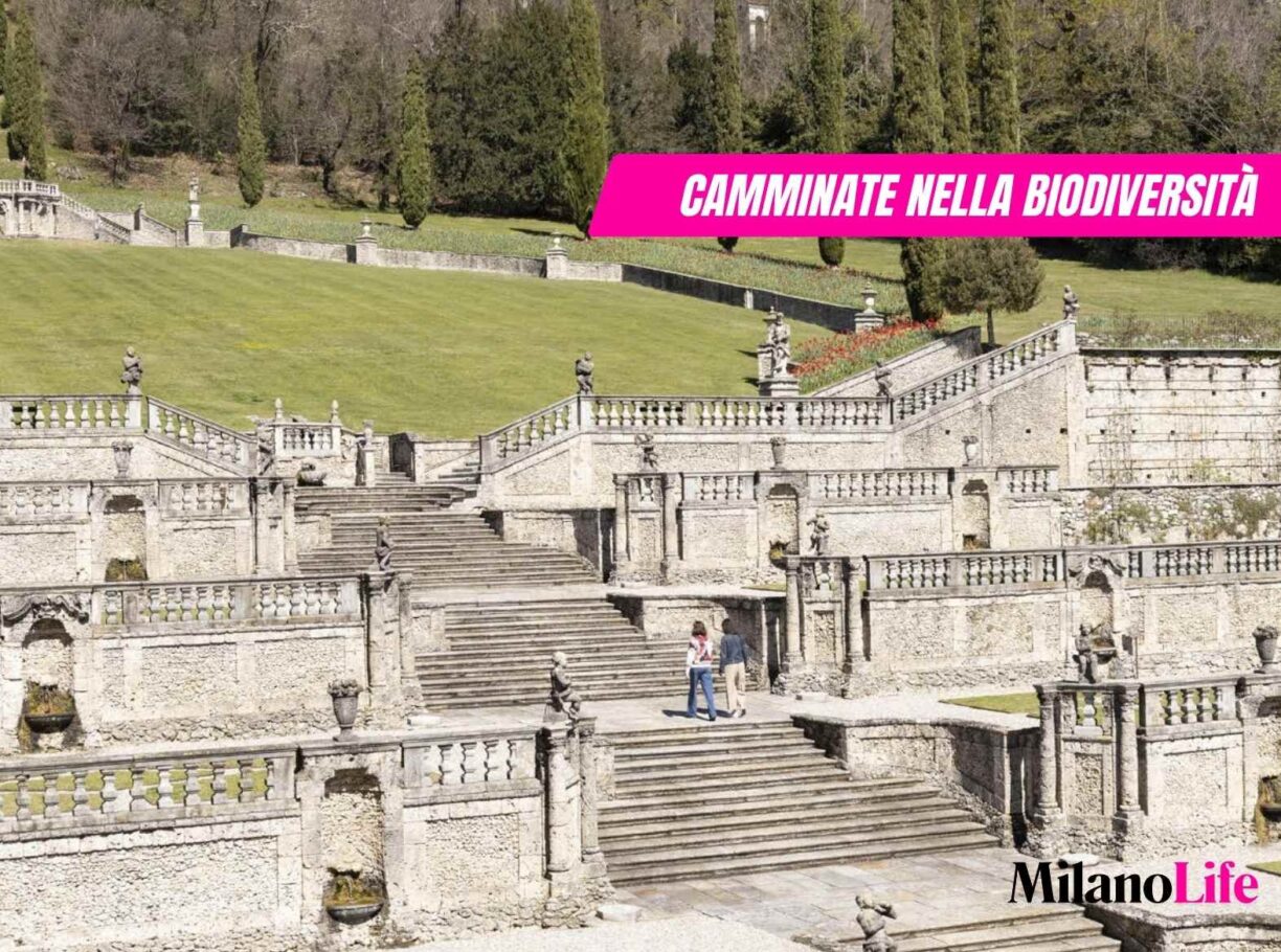 Camminate nella biodiversità